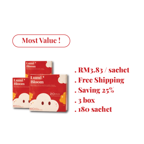 Artboard 8 Value Pack